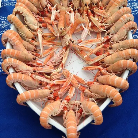 Sur Le Port De La Baule - Villa *